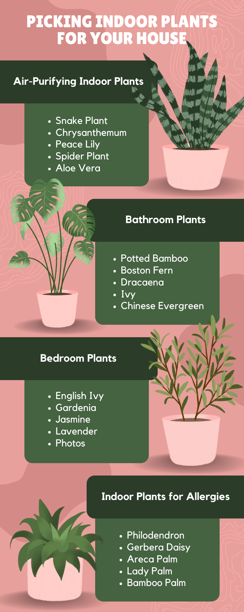 PICKING INDOOR PLANTS FOR YOUR HOUSE